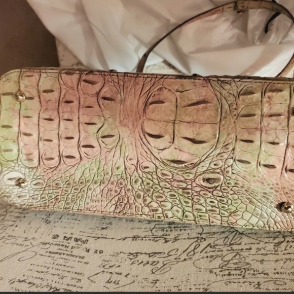 Brahmin Asher Atlas, NWT And Dustbag - Picture 3 of 6